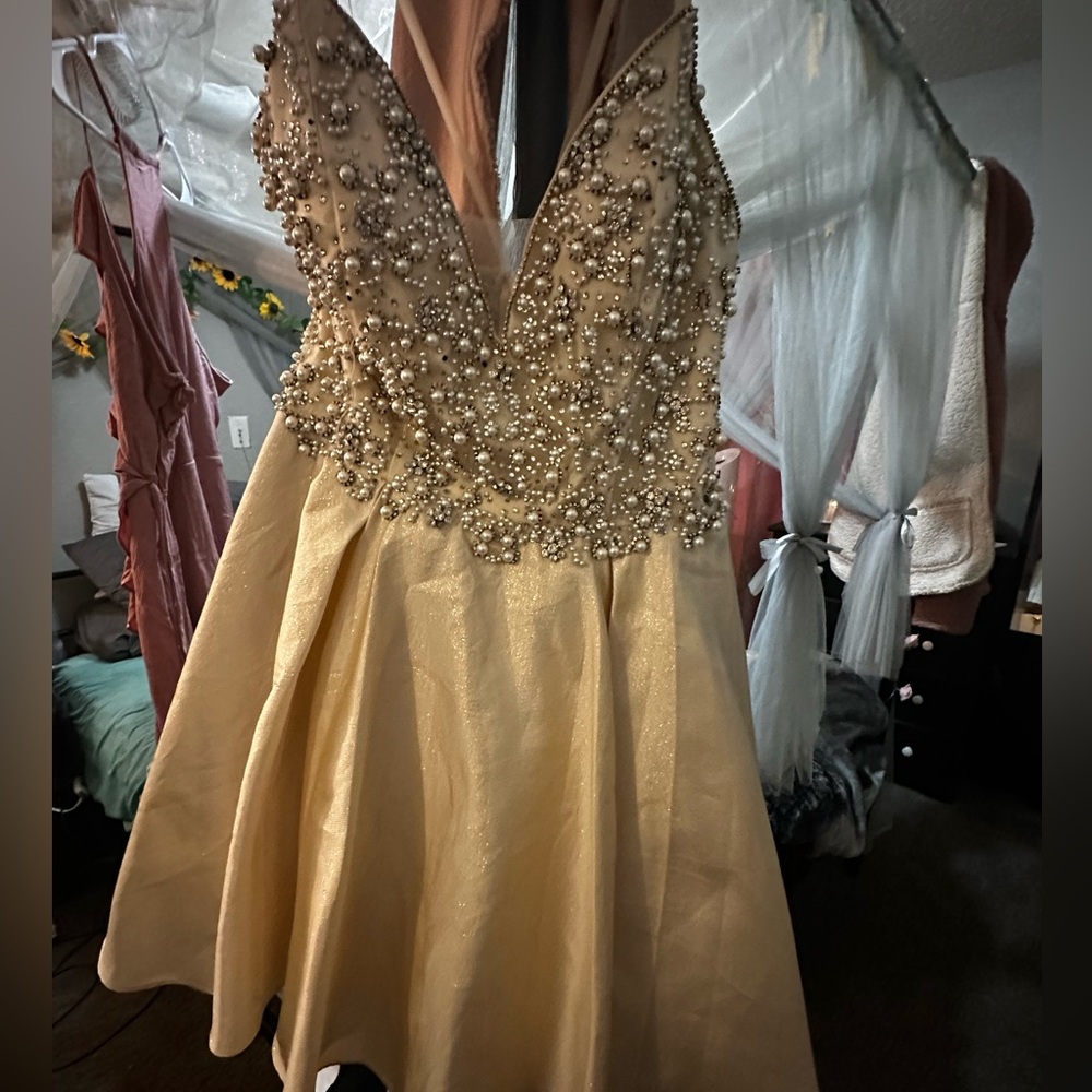 Gianni Bini champagne Sequin Embellished Mini Dress